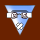 Avatar for VIGWINDOWS