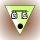 Avatar for VIGWINDOWS