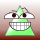 Avatar for VIGWINDOWS