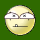 Avatar for VIGWINDOWS
